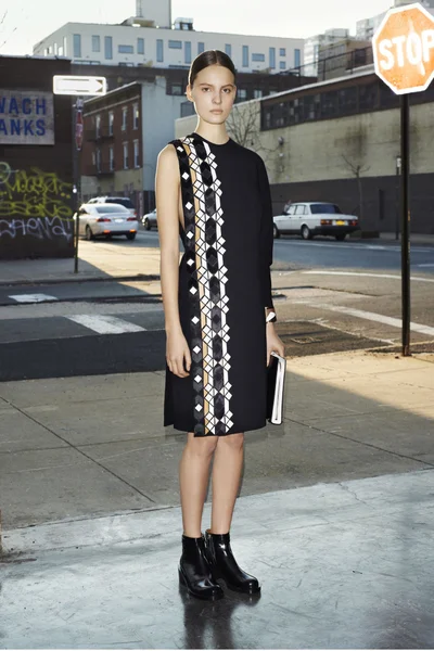 Look 17